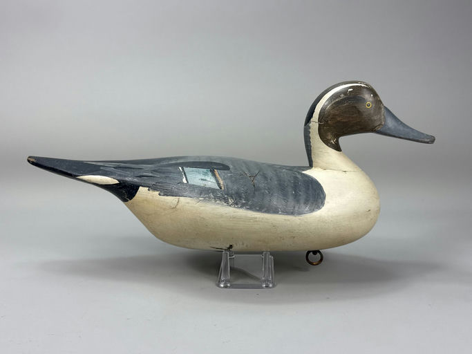 R. Madison Mitchell – Pintail – 2026