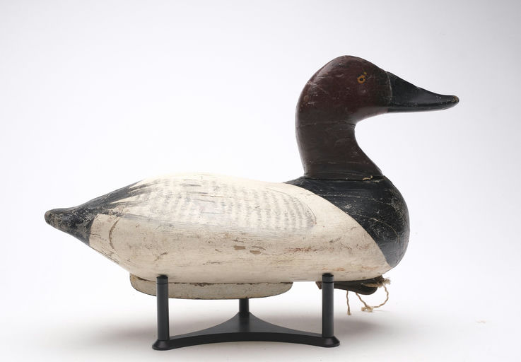 Henry Lockard – Canvasback – 2026