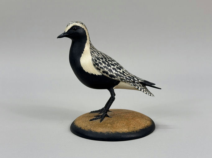 Eddie Wozny – Black Bellied Plover – 2026