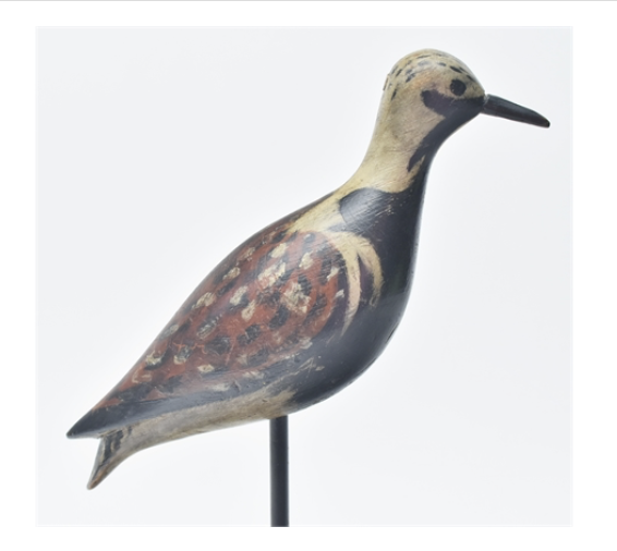 Mark McNair – Ruddy Turnstone – 2022