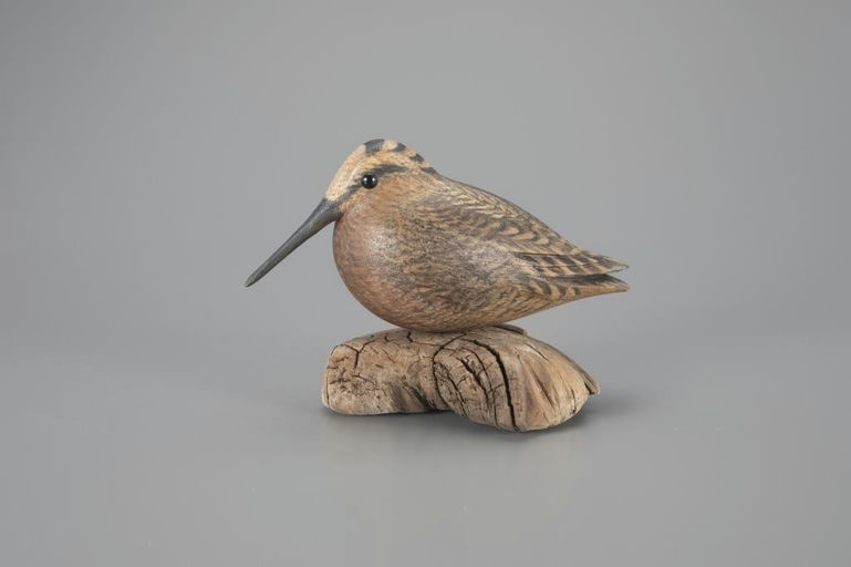 David Ward – Woodcock – 2024