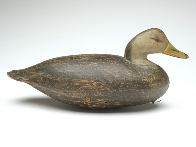 Ira Hudson – Black Duck – 2023