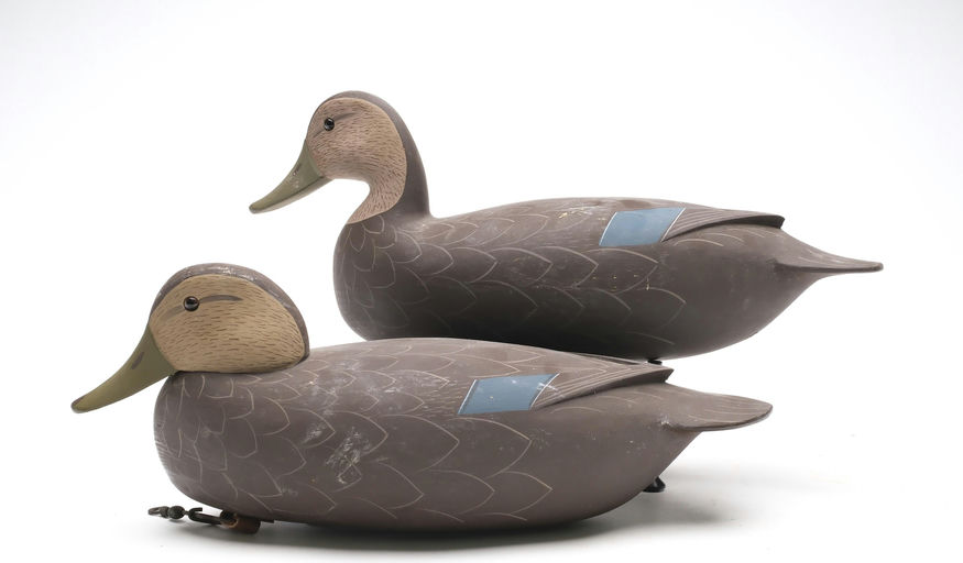 George Strunk – Pair of Black Duck – 2026