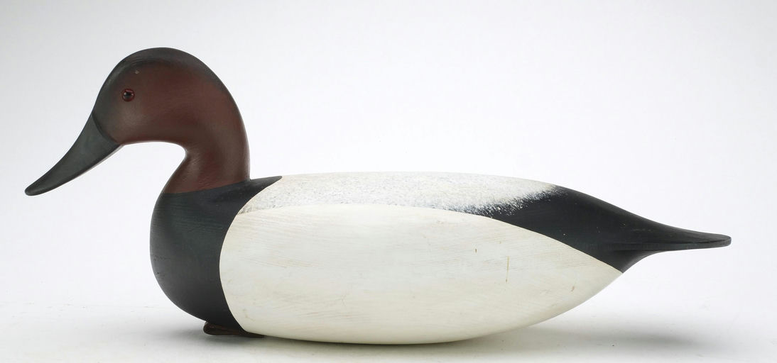 Jamie Hand – Canvasback – 2024