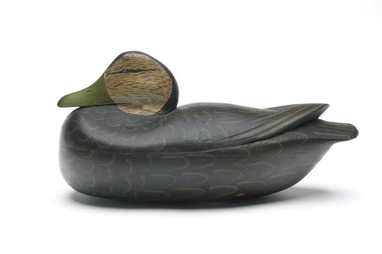 Jess Heisler – Black Duck – 2026