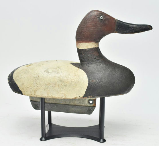 Duncan Ducharme – Canvasback – 2024