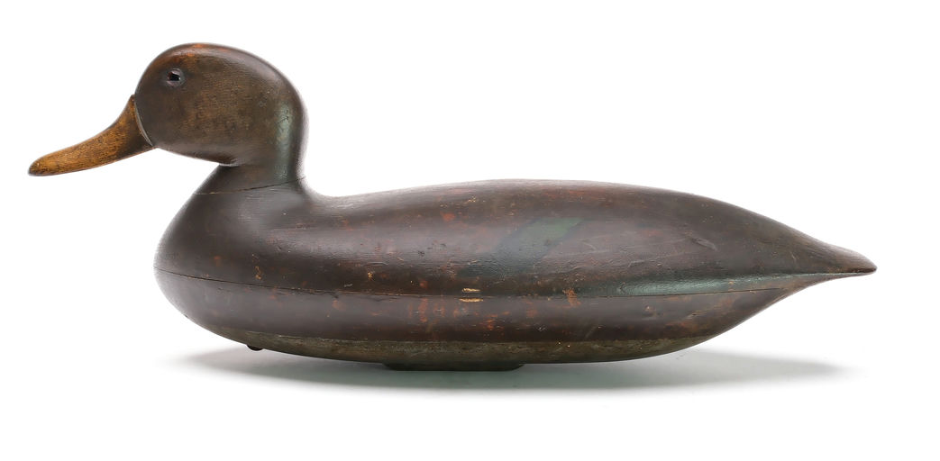 John Blair, Sr. – Black Duck – 2025