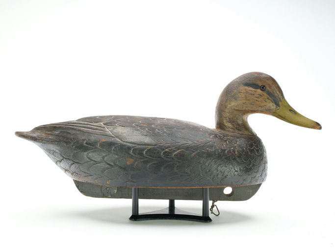 Ben Schmidt – Black Duck – 2025