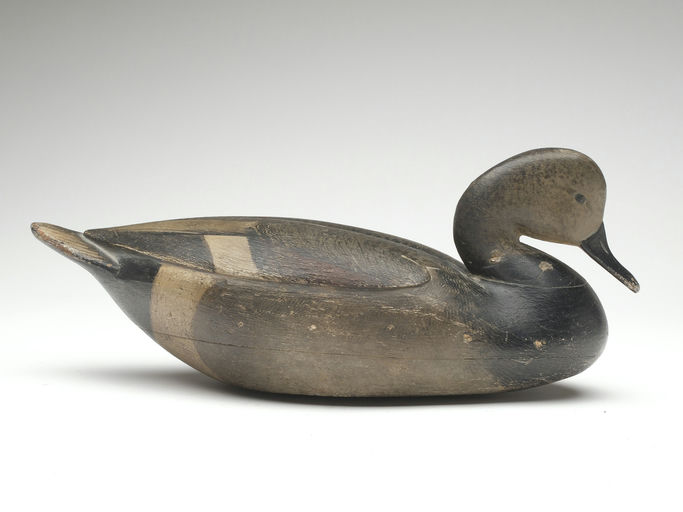 Cameron McIntyre – Gadwall – 2023