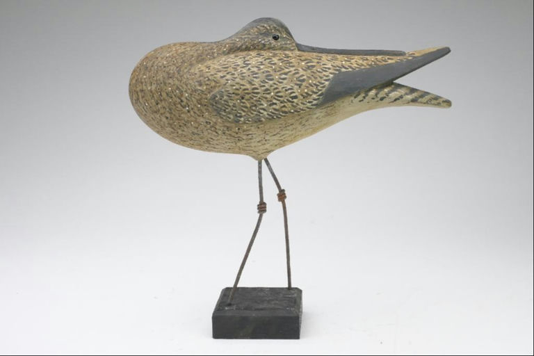 Reggie Birch – Curlew – 2023