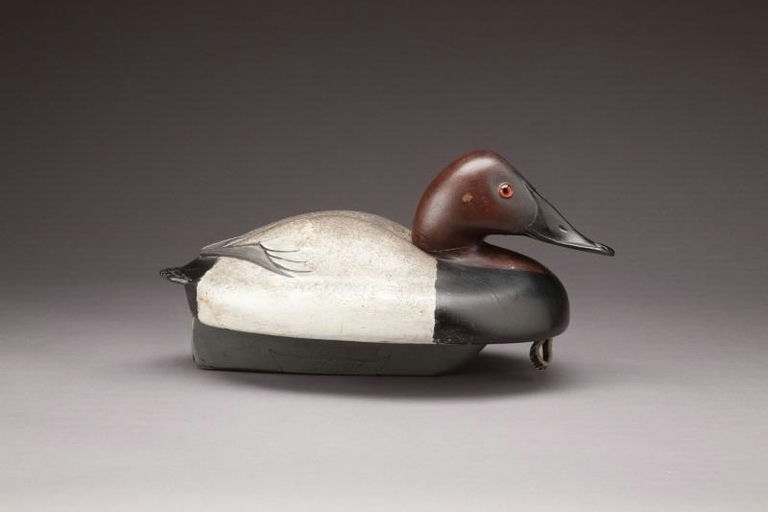 Ferdinand Bach – Outstanding Canvasback Drake – 2011