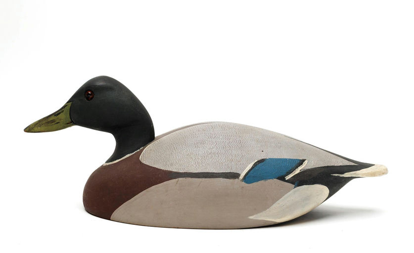 Ken Harris – Mallard – 2026