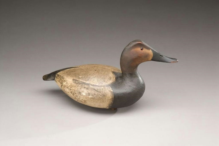 Ward Brothers – Canvasback Hen – 2009