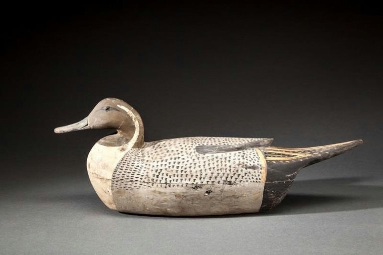 Tom Fitzpatrick – Pintail Drake – 2014