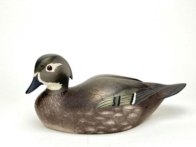 Ken Harris – Rare Wood Duck Hen – 2024