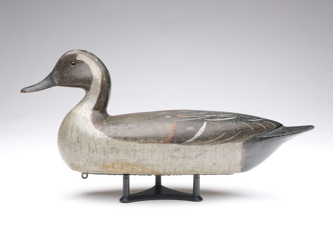 Charles Perdew – Pintail Drake – 2024