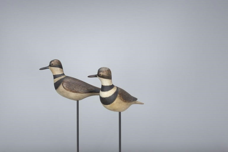 Mark McNair – Killdeer Pair – 2017