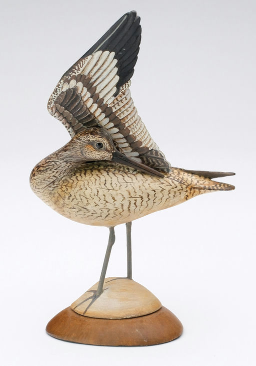 Bill Gibian – Miniature Preening Willet – 2024