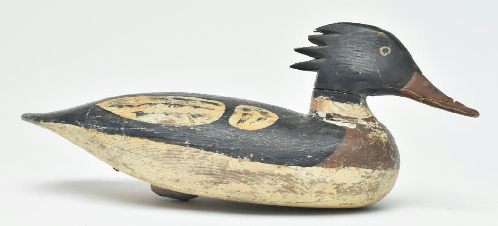 Doug Jester – Merganser – 2023