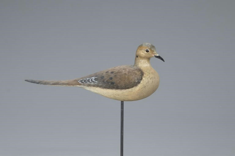 John Vulcani – Life-size Dove – 2020