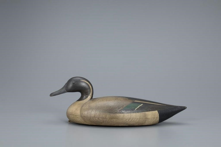 Mark McNair – Vance Pintail – 2019