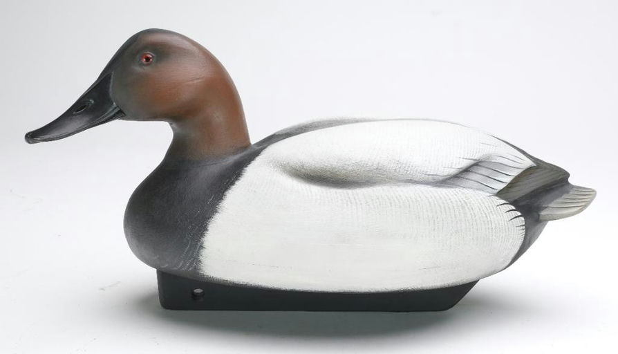 Jim Schmiedlin – Canvasback – 2023