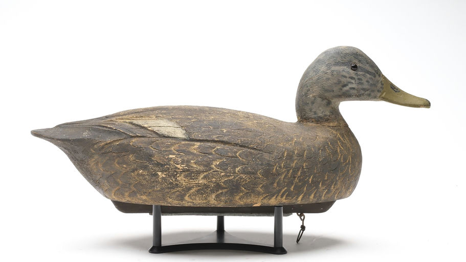 Ben Schmidt – Black Duck – 2026