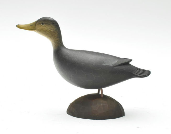 George Strunk – Black Duck – 2023