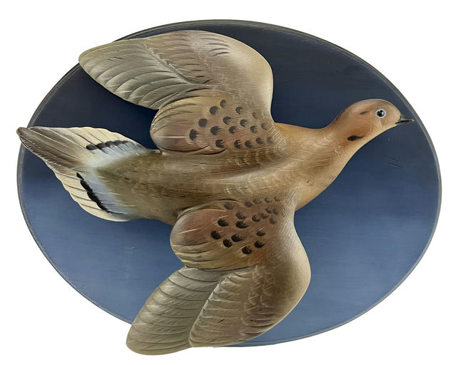 Sean Sutton – Flying Dove – 2024
