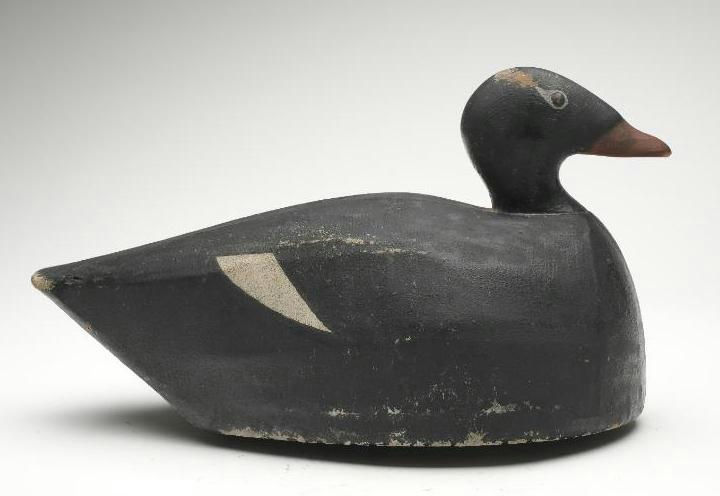 Joseph Lincoln – White-winged Scoter – 2023