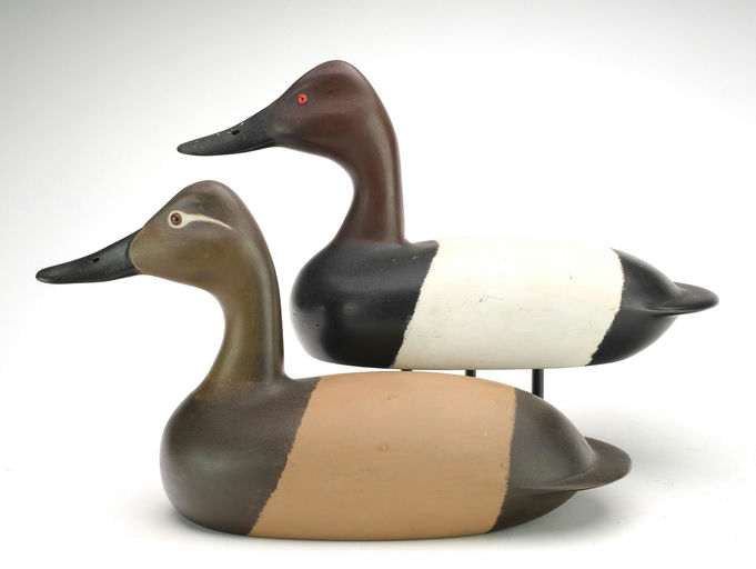 John McLoughlin – Canvasback – 2024