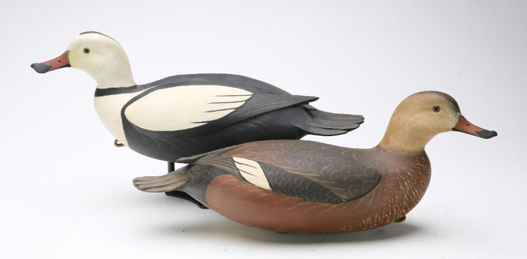 Bob White – Pair of Labrador Ducks – 2024