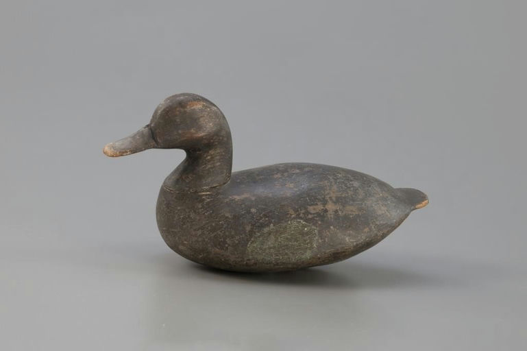Ben Dye – Rare Blue-Winged Teal – 2025