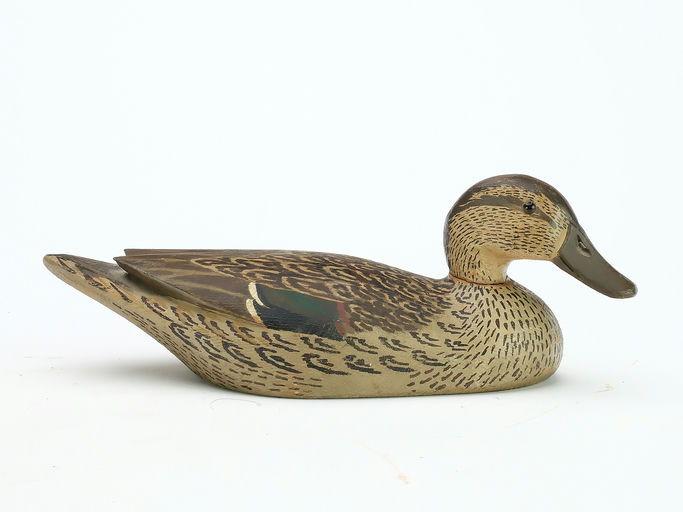 Horace Crandall – Green-winged Teal – 2025