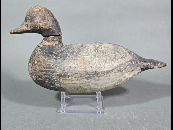 Ira Hudson – Scaup – 2026