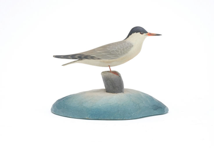 Elmer Crowell – Tern – 2025