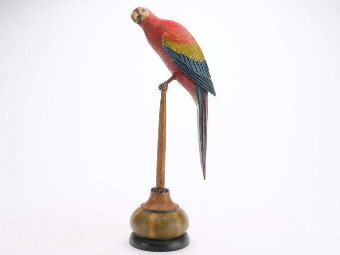 Frank Finney – Scarlet macaw with glass eyes – 2024