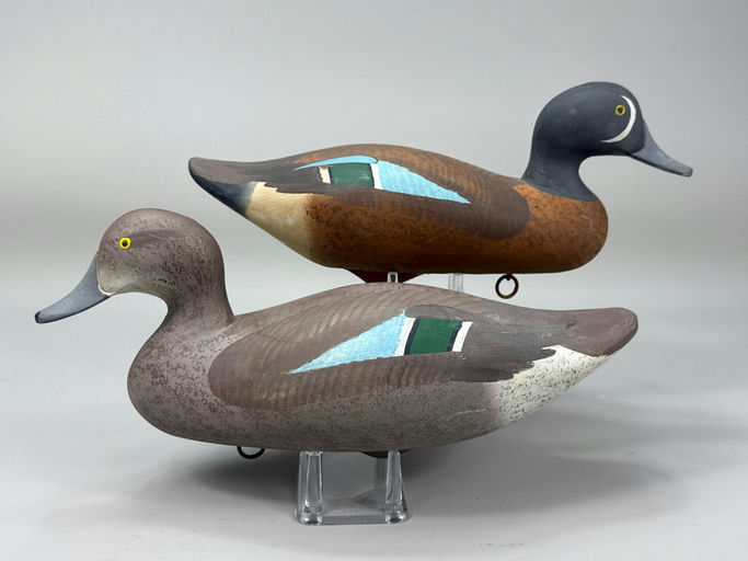R. Madison Mitchell – Blue-winged Teal – 2026