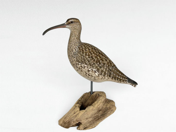 Pete Palumbo — Curlew