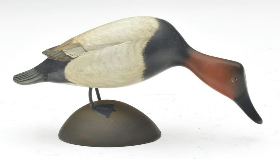 George Strunk – Canvasback – 2023