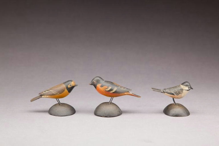Elmer Crowell – Miniature Hooded Warbler – 2012