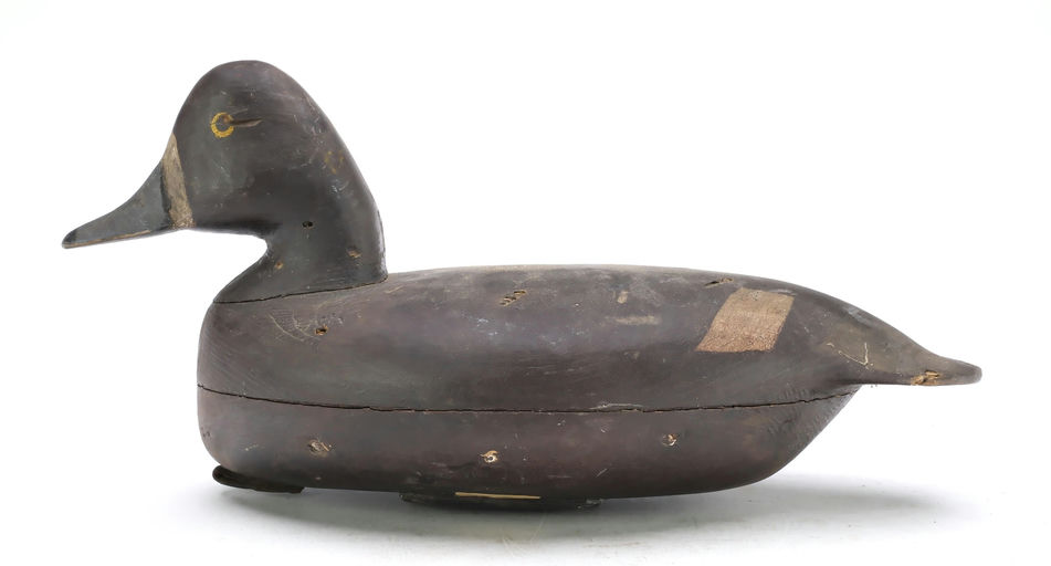 Hurley Conklin – Bluebill Hen – 2025
