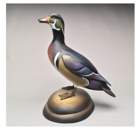 Sean Sutton – Full Size Standing Wood Duck – 2017