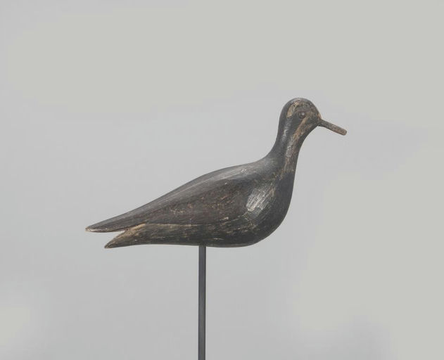 Joseph Lincoln – Golden Plover – 2022