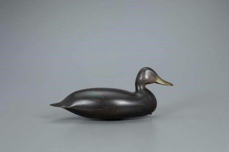 Nathan Rowley Horner – Early Black Duck – 2020