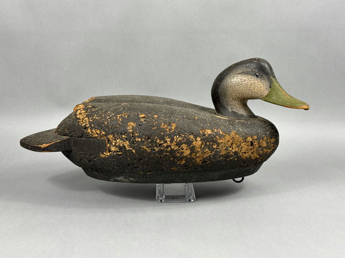 Charlie Joiner – Black Duck – 2026