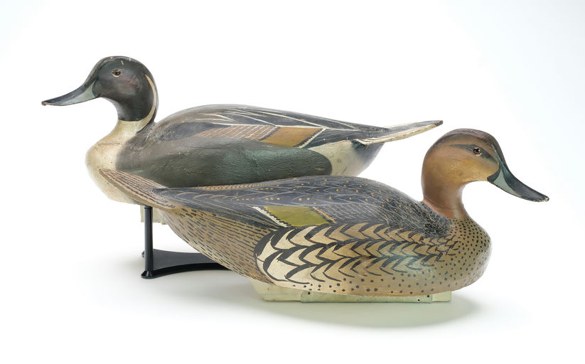 Ward Brothers – Pair of pintails – 2025