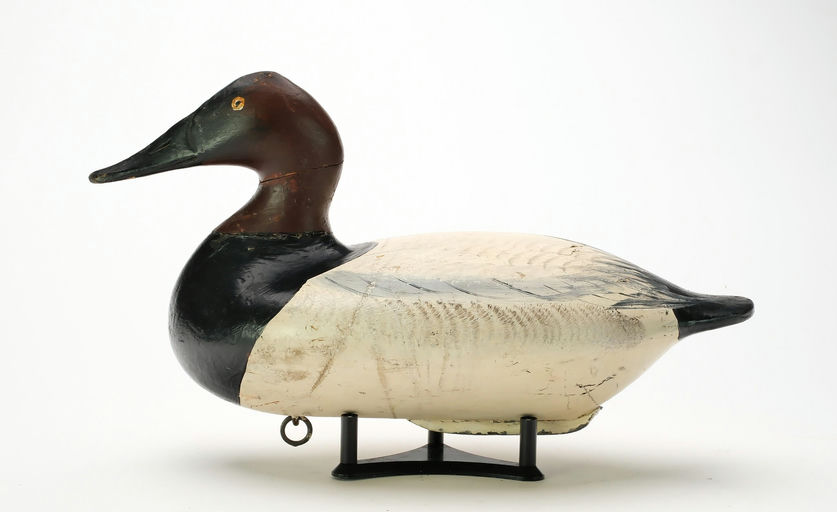 Leonard Pryor – Canvasback – 2025