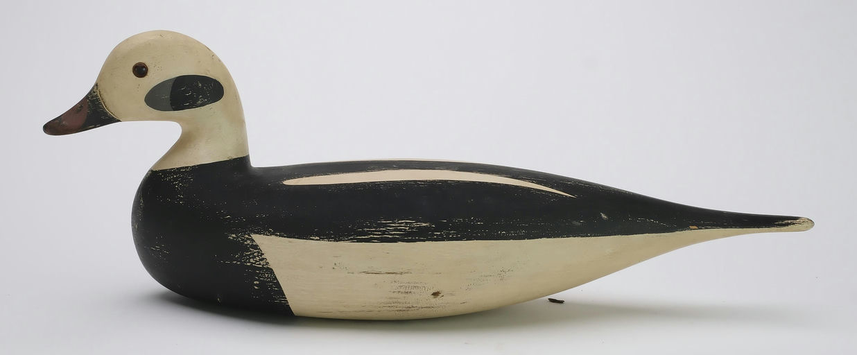 Jamie Hand – Long Tail Duck – 2024