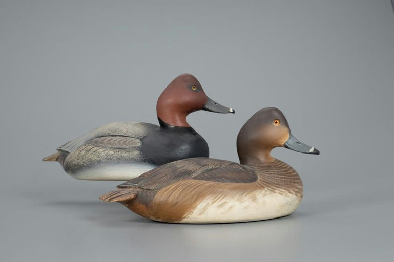 Ward Brothers – Redhead Pair – 2020